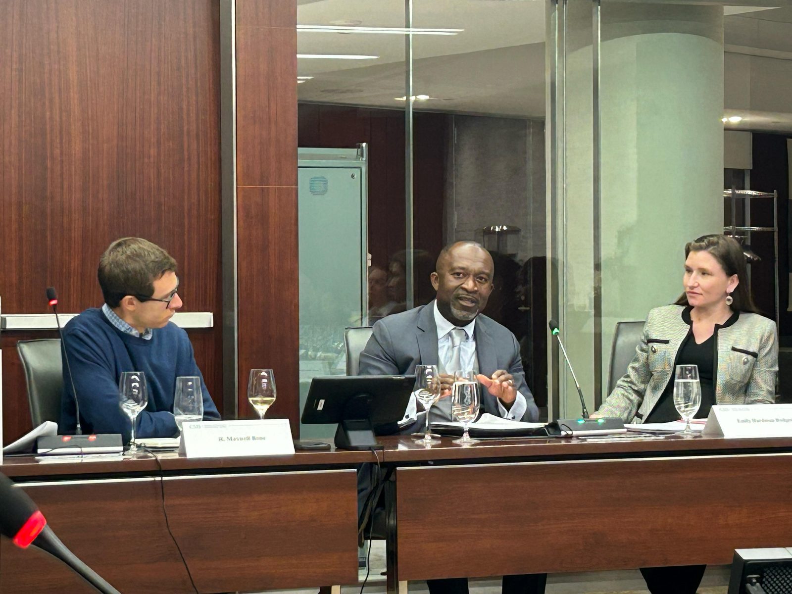 December 2025 APA session on democratic elections